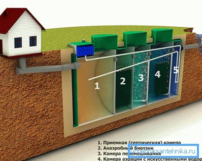 1144 Princíp fungovania biologickej stanice