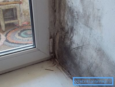 Dismal obrázok, nie? Dismal obrázok, nie?