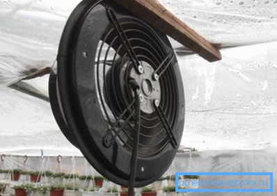 Elektrický automatický vetrací skleník robíte sami Elektrický automatický vetrací skleník robíte sami
