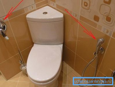 Hygienický typ duše. Hygienický typ duše.