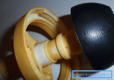 Hruška môže pretekať vodou Hruška môže pretekať vodou