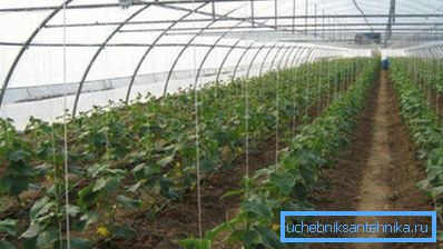 Použitý vykurovací systém je vybraný na základe oblasti agrotechnickej štruktúry. Použitý vykurovací systém je vybraný na základe oblasti agrotechnickej štruktúry.