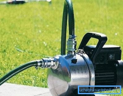 Na fotografii - demokratická voľba pre studňa Dacha, jej hlava stačí na vodu postele Na fotografii - demokratická voľba pre studňa Dacha, jej hlava stačí na vodu postele
