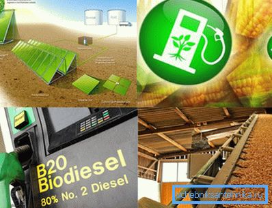 Vo foto - biopalivo môže byť vyrobené z rôznych organických surovín.
