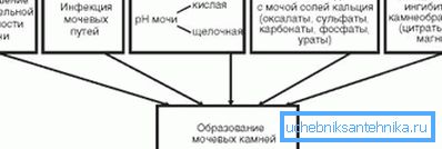 Na snímke sú uvedené príčiny močového kameňa. Na snímke sú uvedené príčiny močového kameňa.