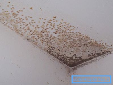 Formovanie plesní v dôsledku nedostatočnej výmeny vzduchu Formovanie plesní v dôsledku nedostatočnej výmeny vzduchu
