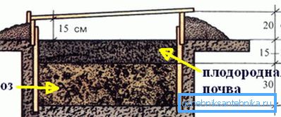 Usporiadanie hnoja na vykurovanie skleníkov Usporiadanie hnoja na vykurovanie skleníkov