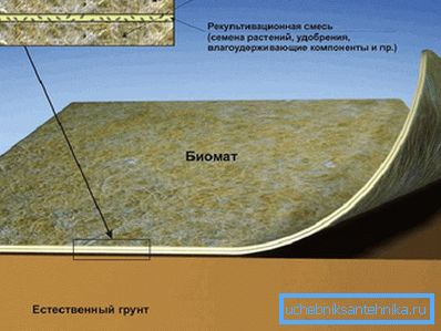 1207 Štruktúra spoločnosti Biomat