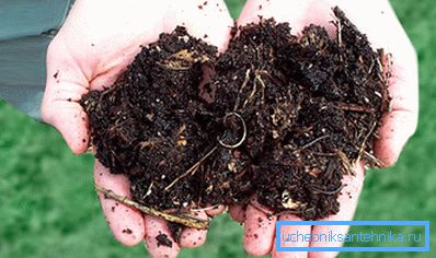 Suroviny pre nezávislú výrobu bioplynu Suroviny pre nezávislú výrobu bioplynu