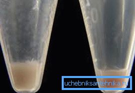 Granule tuhej kvality vo vode sa zmenili na jahody