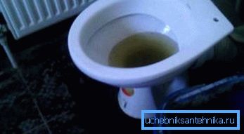 Zanesené WC Zanesené WC