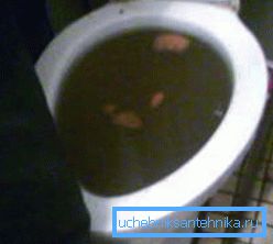 Zanesené WC treba čistiť čo najskôr. Zanesené WC treba čistiť čo najskôr.